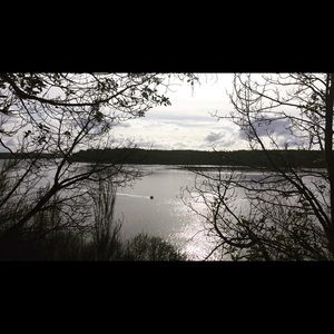 Meet your Posher, Roberta